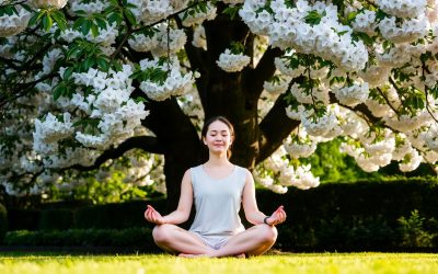 Building Your Stress Resilience Toolkit: Essential Habits for a Calmer Life
