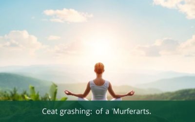 Considering Energy Coaching? What to Expect from an Igniting Minds Certified Coach